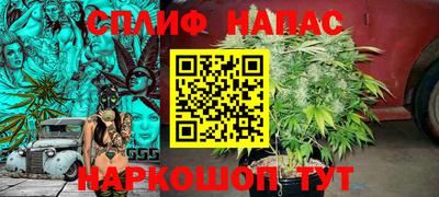 МДПВ Ставрополь